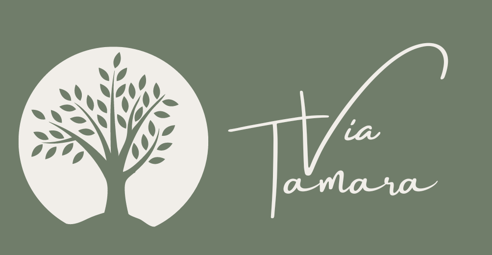 Viatamara webdesigner en grafisch ontwerp logo